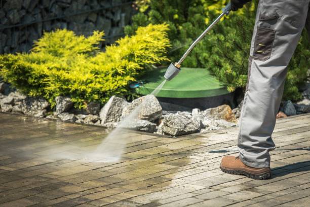 Best Soft Washing  in Perry, FL