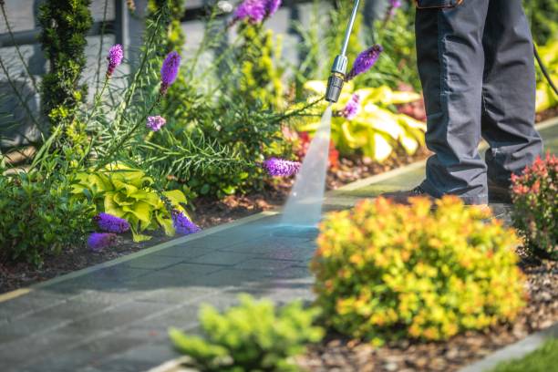 Best Gutter Cleaning  in Perry, FL
