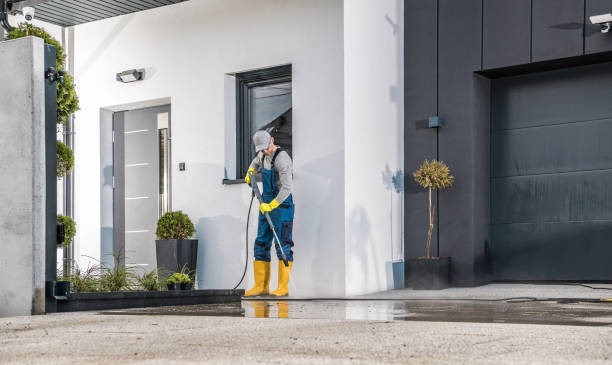 Best Paint Preparation  in Perry, FL